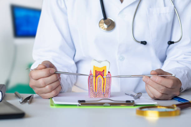 Best Emergency Dental Extractions in Forest, MS